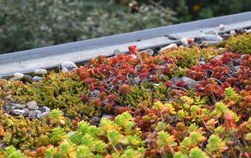 the cost of Low Eighton green roof installation