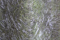 Low Eighton fibreglass roof work